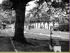 Camp 50 Photo C